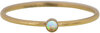 Charmin&#039;s Birthstone October Opaal Stone Shine Bright 2.0 Goldplated R1185 