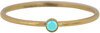 Charmin&#039;s Birthstone December Turquoise Steen Goldplated R789/KR86