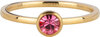 Charmin&#039;s Goudkleurige Ring Birthstone October Opaal/ Tourmaline Staal Iconic  R1606