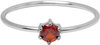 Charmin&#039;s Stalen Ring Rond Ruby Rood Steentje Crystal R1696 &ndash; Vurig Accent
