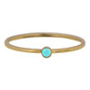 Charmin&#039;s Birthstone December Turquoise Steen Goldplated R789/KR86
