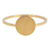 Charmin&rsquo;s basisring R717 Minimalist Round Gold Steel
