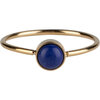 Charmin&rsquo;s Goudkleurige Ring Ronde Steen Donker Blauwe Howliet Edelsteen 5mm Staal R1052