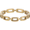 R1554 Stoere Anker Chain Goudkleurig