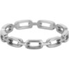 R1553 Stoere Anker Chain Staal