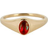 Charmin&rsquo;s R1221 Birthstone zegelring January Red Garnet Oval Stone Goldplated