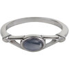 Charmin&rsquo;s Ovale Elegante Blauw-Paarse Cateye Ring Staal R1160
