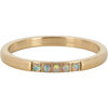 Charmin&rsquo;s Memoire Ring R1136 5 Steentjes Wit-Blauwige Opaal Goud