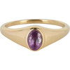 Charmin&rsquo;s R1084 Birthstone zegelring Februari Purple Amethyst Oval Stone Goldplated