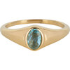 Charmin&rsquo;s R1085 Birthstone zegelring March Blue Topaz Oval Stone Goldplated
