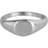 R977 Zegelring petite rond steel