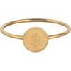 R963 Wish Coin Goldplated Steel Ring