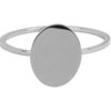 R714 Modern Oval Shiny Steel