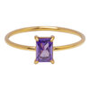 Charmin&#039;s Goudkleurige Ring Rechthoekig Lila Steentje R1727 &ndash; Zachte Glamour 
