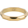 Charmin&#039;s Gehoekte Basis Ring 3,5mm Goud R1435