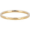 Charmin&rsquo;s goudkleurig stapelring R1556 Marker goldplated staal