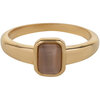 Charmin's goldfarbener Siegelring mit braunem Katzenaugenstein, rechteckig, Stahl, R1176