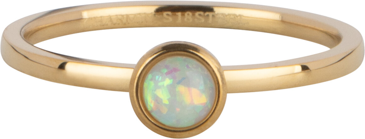 Charmin's Goudkleurige Ring Birthstone October Opaal/ Tourmaline Staal Iconic R1610