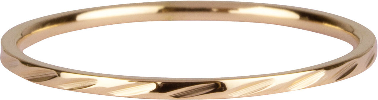 Charmin&rsquo;s basisring R891 Dwars Gestreept Goldplated
