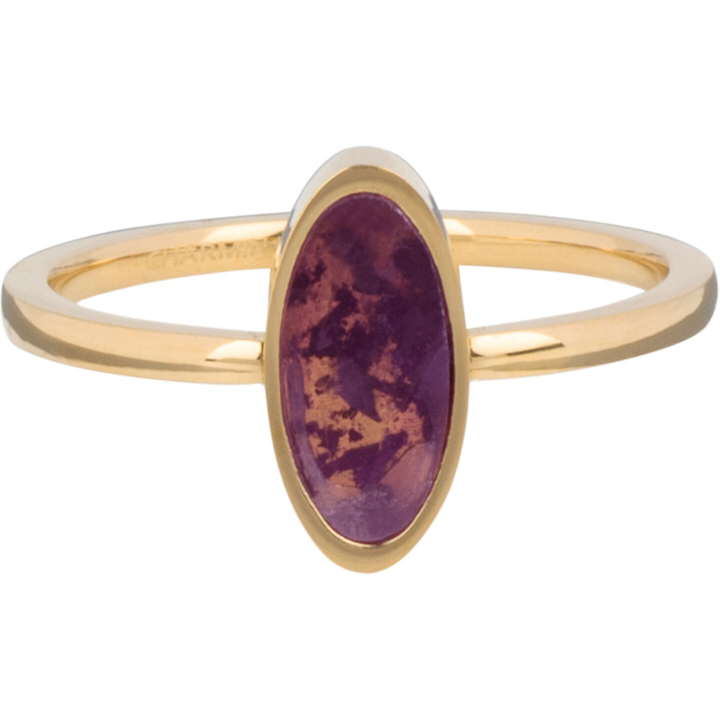 Charmin's goldfarbener ovaler Siegelring mit Amethyst-Edelstein, Stahl R1219