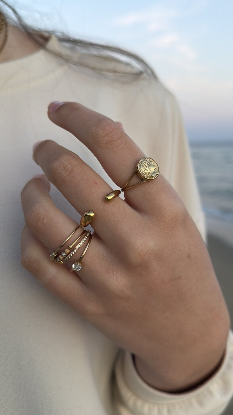 Charmin's Goudkleurige  Anxiety Ring Natural Stones Agaat en Jaspis Beads Staal R1204
