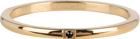 Charmin&#039;s basisring R867 Precious Black Stone Goldplated