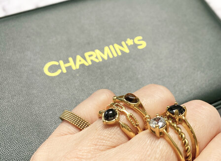 Charmin&#039;s Tiny Ring Half Chain Staal R1115