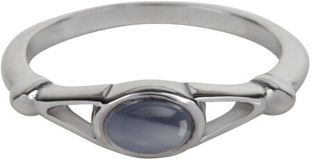 Charmin&rsquo;s Ovale Elegante Blauw-Paarse Cateye Ring Staal R1160