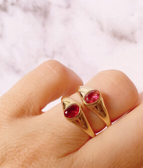 Charmin&rsquo;s R1221 Birthstone zegelring January Red Garnet Oval Stone Goldplated