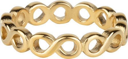 Charmin&rsquo;s Valentijn Love Infinity Goldplated R1291