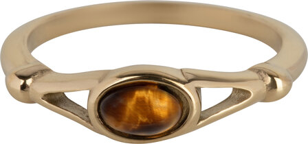 Charmin&rsquo;s Charmin&rsquo;s Ovale Elegante Tijgeroog Ring Goud R1161