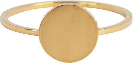 Charmin&rsquo;s basisring R717 Minimalist Round Gold Steel