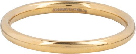 Charmin&#039;s Ring Goldl Rond Mini 2 MM R1465