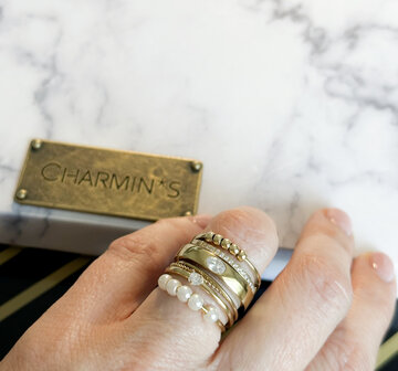 Charmin&#039;s Twin dubbele Ring gedraaid en glad Rolling Anxiety Fidget Staal R1420