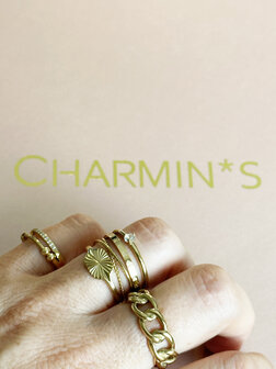 Charmin&#039;s Alliance Ring met Balletjes Anxiety Fidget Staal R1366