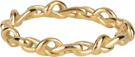 Charmin&rsquo;s Valentijn Love Eternal Knot Goldplated R1295