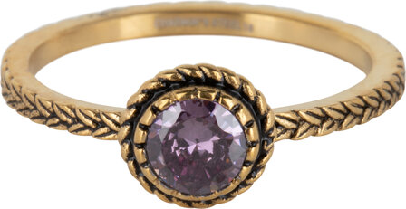 Charmin&#039;s Goudkleurige Ring Birthstone Februari Paars Lila Kristal Staal Iconic Vintage R1093