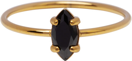 Charmin&#039;s Goudkleurige Ring met Ellipsvormig Zwart Kristal R1692&ndash; Elegant Contrast