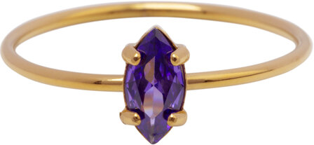 Charmin&#039;s Goudkleurige Ring met Ellipsvormig Lila Kristal R1687&ndash; Elegant en Eigenwijs