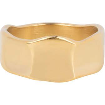 Charmin&#039;s Goudkleurige Brede Moderne Fantasie Ring Staal R1391