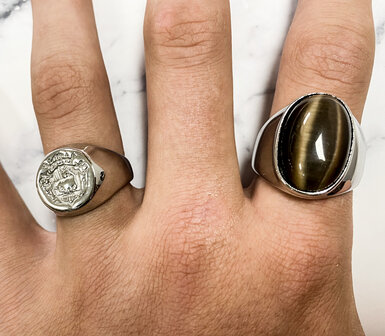 Charmin&#039;s UNI Men&#039;s and Women&#039;s Signet Ring Familia Supra Omnia Steel R999