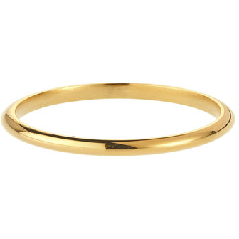 Charmin&#039;s Ring Goldl Rond Mini 2 MM R1465