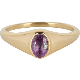 Charmin&rsquo;s R1084 Birthstone zegelring Februari Purple Amethyst Oval Stone Goldplated