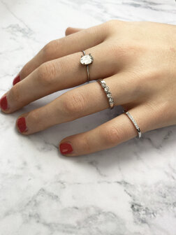 Charmin&rsquo;s stalen stapelring Petite Alliance R745