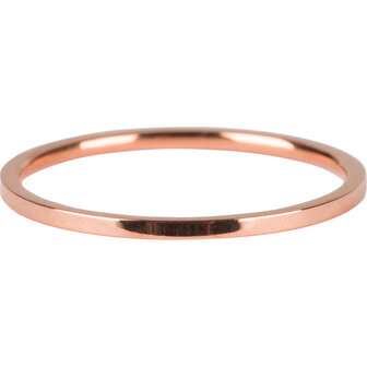 R694 Basic Petite Rose Gold Steel
