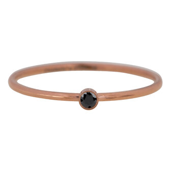 R494 Shine Bright 2.0 Rose Steel with black crystal