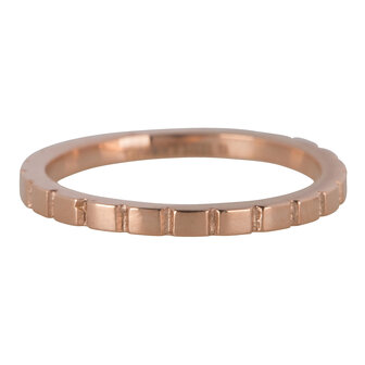 RING R441 ROS&Eacute; &#039;STEEL BASICALLY&#039;