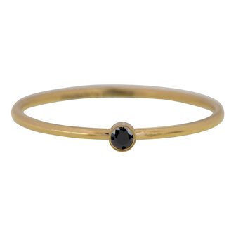 R493 Shine Bright 2.0 gold Steel with black crystal