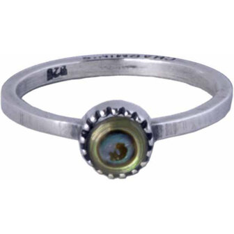  Ring R149 &#039;Nature Abalone&#039; 