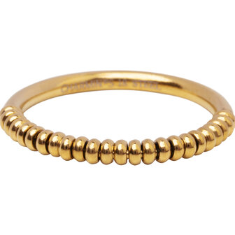 R1666 Goudkleurige Anxiety Palm Small met Balletjes Staal